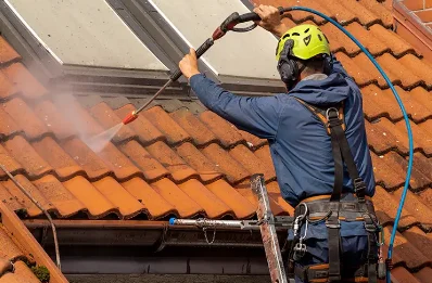 Démoussage et hydrofuge de toiture à Mosnac